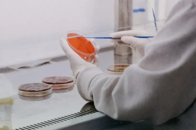 Cancerul de col uterin poate fi depistat din timp! Medicii din Cluj-Napoca lansează un proiect pentru femeile cu acces dificil la servicii medicale