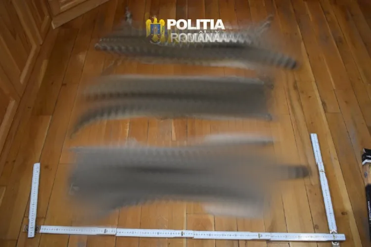 Trei pisici sălbatice, transformate în trofee? Ce au găsit polițiștii în casa unui bărbat suspectat de braconaj