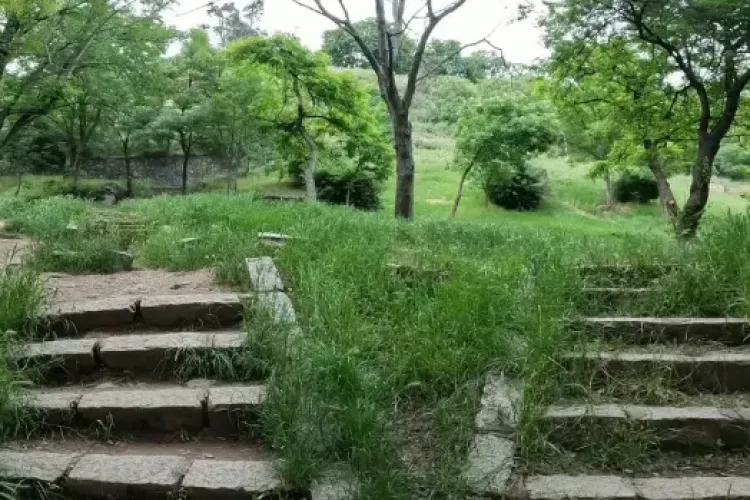 Parcul Cetățuia din Cluj-Napoca, în beznă după lăsarea serii! Un țarc pentru câini devine inutilizabil