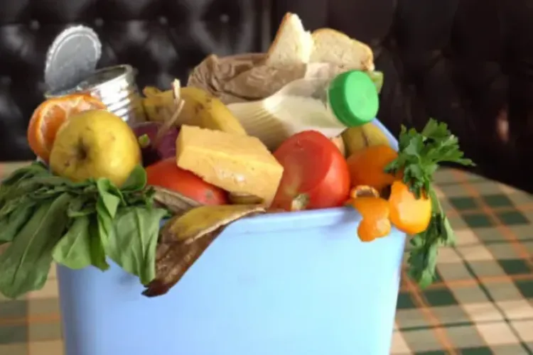 Românii aruncă anual aproape 4 milioane de tone de alimente, în timp ce milioane de oameni sunt în risc de sărăcie