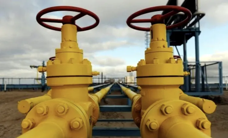 2cc2f62d709d8e2eeff01ef9fb92117b.png