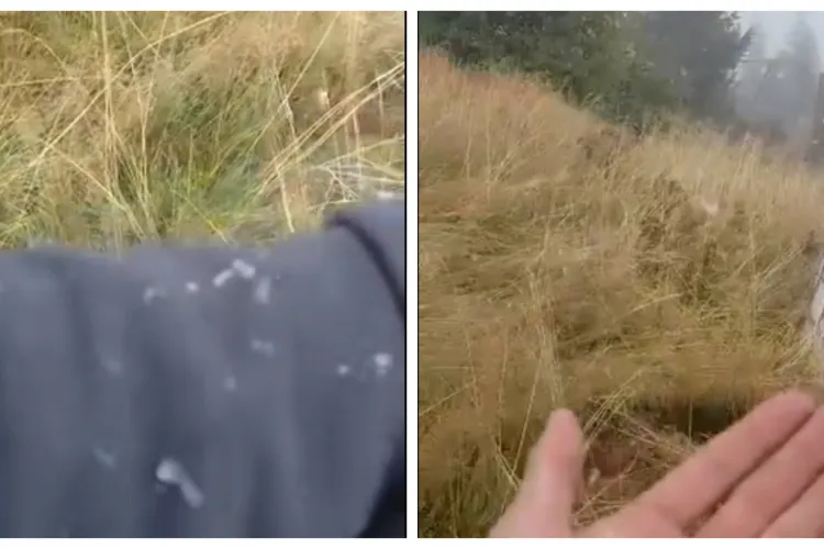 VIDEO. Iarna și-a intrat în drepturi la Cluj. Primii fulgi de zăpadă la Buscat, după o zi deosebit de rece pentru septembrie