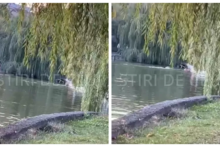 VIDEO EXCLUSIV. Lacul de lângă Iulius Mall, transformat în piscină. Doi tineri au făcut baie în fața a zeci de clujeni
