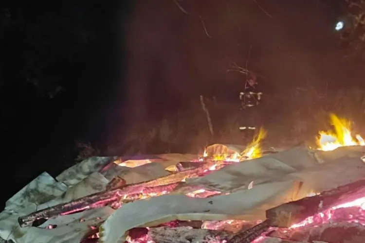 Incendiu de proporții la Cluj. Un adăpost pentru animale a ars complet. Focul amenința și casa din apropiere