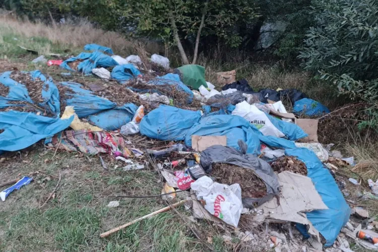 Revoltă în cartierul Bulgaria din Cluj! Un clujean reclamă că gunoaiele au început să apară chiar printre mașinile parcate și pe spațiile verzi