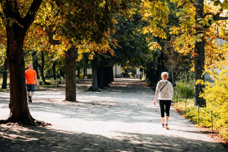 Cum să te distrezi în Cluj cu buget redus? Localnicii vin cu idei neașteptate: „Facem mișcare și primim bani. 2 în 1”