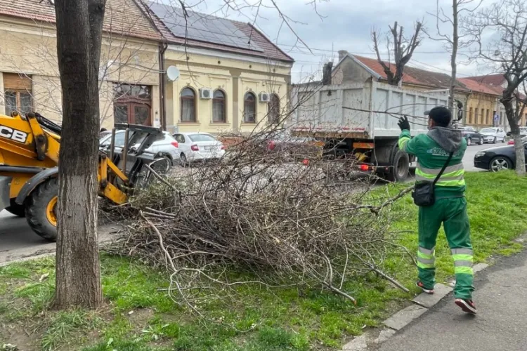 Scapi gratis de frunze, iarbă și crengi! Primăria Florești ridică deșeurile vegetale pe 24 și 25 octombrie. Ai timp doar până la ora 7.00 să scoți sacii