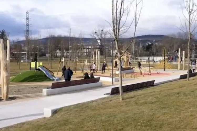 Ce se întâmplă cu copacii uscați din parcurile Clujului? Plantați primăvara, uscați la mijlocul verii! Ce i-a răspuns viceprimarul Dan Tarcea unui clujean