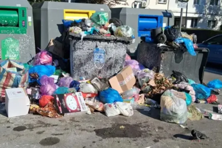 Mizerie de nedescris și mormane de gunoi lângă noile ghene din Mănăștur. Un clujean revoltat reclamă o invazie de șobolani: „Am văzut zeci, cât o pisică”