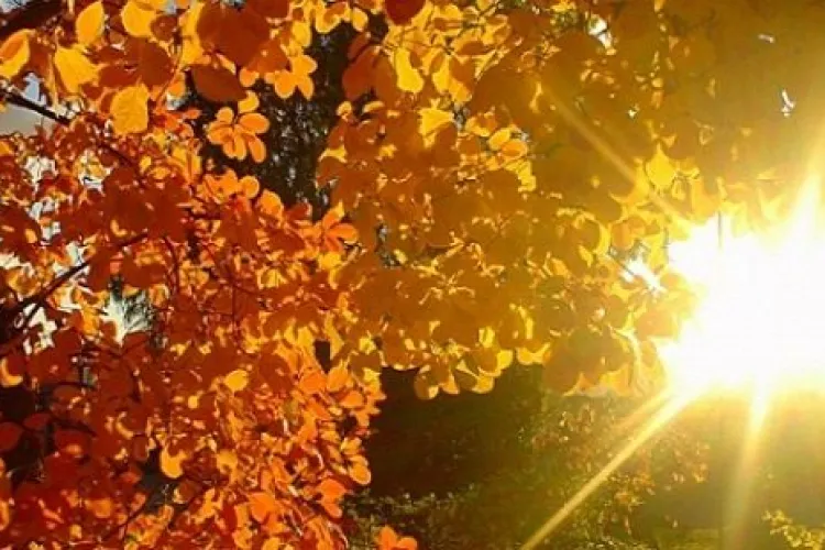 Temperaturi de vară în Cluj. ANM anunță o săptămână cu temperaturi peste medie 