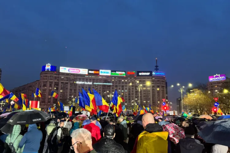 Protest de amploare pentru protecția animalelor. Peste 70 de ONG-uri ies în stradă 