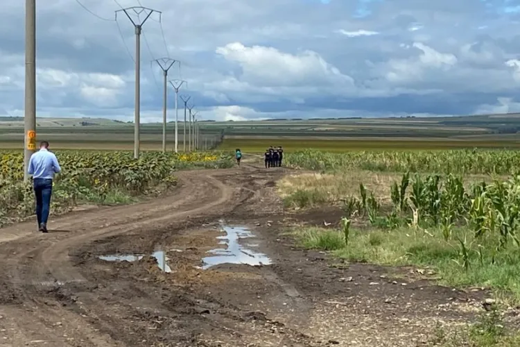 Tânăr de 19 ani, dispărut fără urmă. Băiatul a plecat cu animalele și nu s-a mai întors acasă