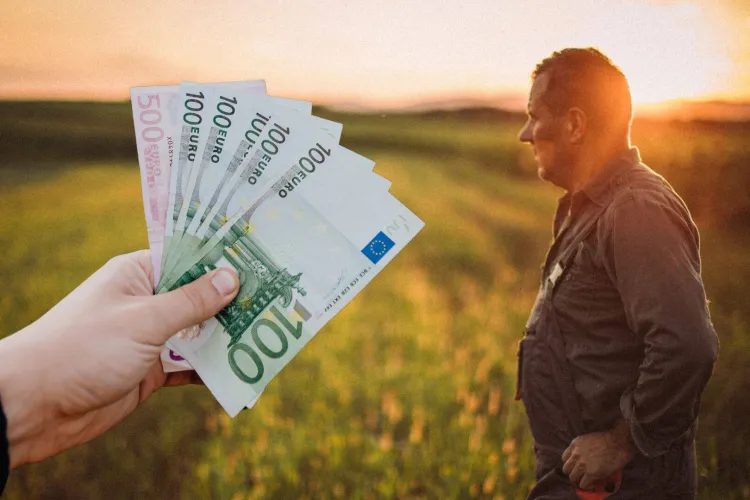 Bani pentru fermierii afectați de secetă! APIA oferă până la 333 de lei pe hectar. Cine poate primi ajutorul și când se depun cererile