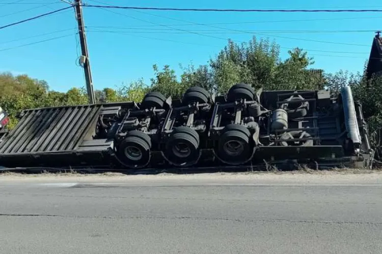 Un tir plin cu porci s-a răsturnat într-un șant. Șoferul ar fi evitat un copil pe trotinetă