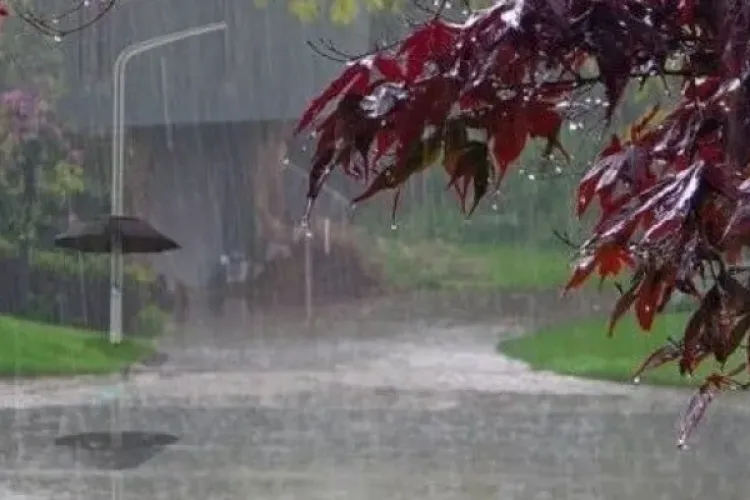 Vremea se schimbă brusc în weekend. Ploi și temperaturi de toamnă în Cluj