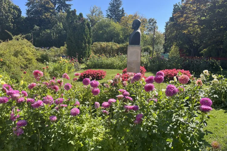 Intrare gratuită la Grădina Botanică din Cluj-Napoca pe 1 octombrie. Cine poate beneficia de acces liber