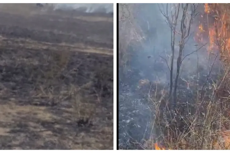 VIDEO EXCLUSIV. Ard câmpurile din Cluj. Un incendiu de vegetație a afectat hectare întregi