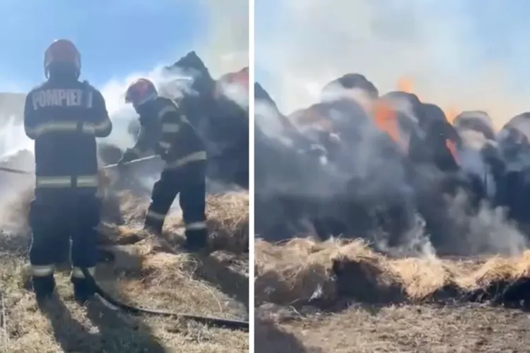 VIDEO. Drama unei familii din Cluj: un incendiu de proporții le-a distrus hrana animalelor pentru toată iarna! Un sat întreg se mobilizează acum să o ajute