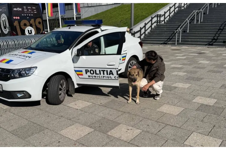 Apel disperat pentru Ursu, câinele omului străzii de la Sora din Cluj-Napoca! Proprietarul este în stare gravă la spital 