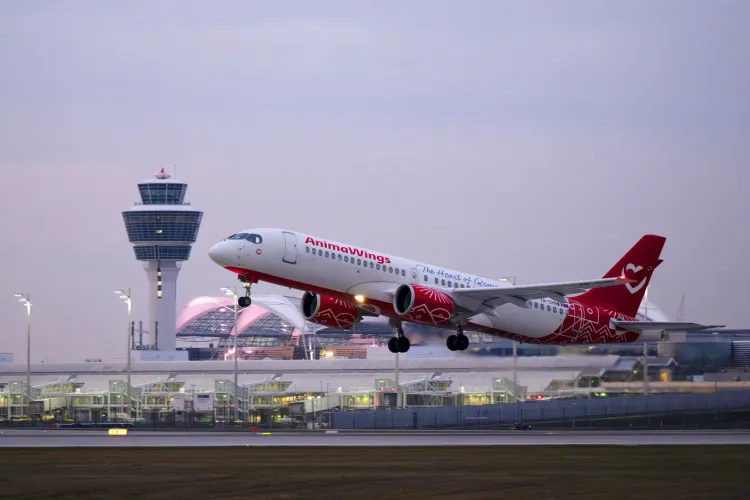 Insolvența AnimaWings, respinsă de instanță. Banca Transilvania, ROMATSA și mai multe aeroporturi apar pe lista creditorilor