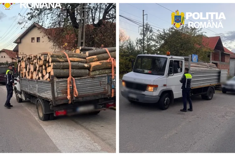 Transport de lemne fără acte, prins la primele ore ale dimineții în Cluj! Polițiștii au confiscat întreaga încărcătură