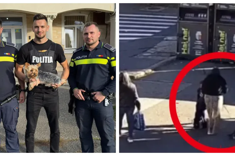 Final fericit în cazul bichonului furat din Cluj-Napoca! Animalul a fost găsit la zeci de kilometri distanță de polițiști