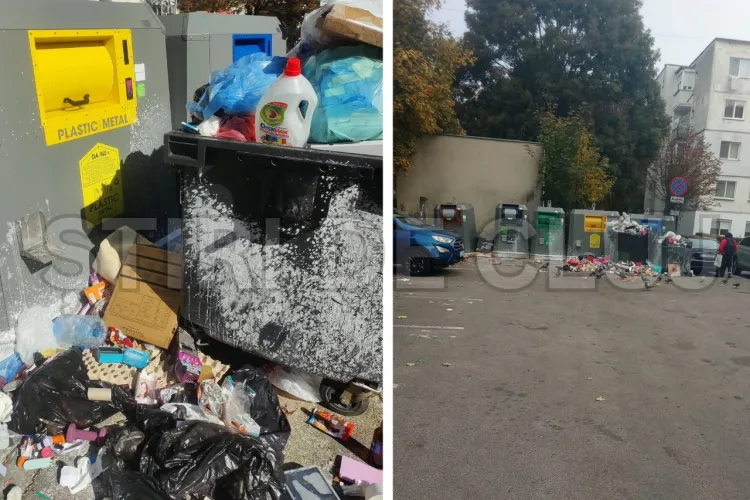 Coșmar pentru locatarii de pe o stradă din Cluj-Napoca: Gunoaiele din containere adună șobolani și ploșnițe. „Avem o ciurdă de șobolani prin zonă”