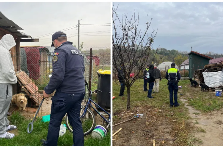 Polițiștii clujeni au verificat zeci de case: Clujenii, informați despre obligațiile legale privind microciparea, vaccinarea și sterilizarea câinilor