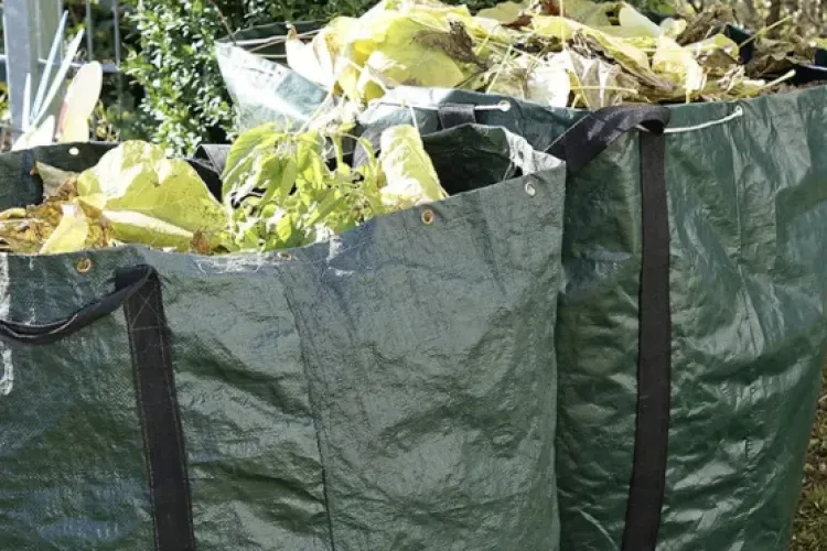 Locuitorii din Cluj-Napoca pot scăpa gratuit de frunzele și crengile din grădini! Unde trebuie duse și ce cantitate este permisă