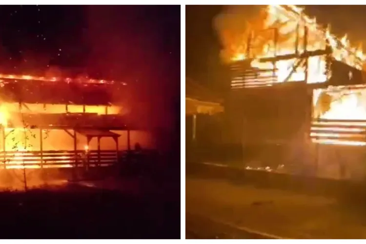 Incendiu devastator în Cluj! O asociație care salvează căței a rămas cu casa în cenușă: „ Avem nevoie imensă de ajutor”