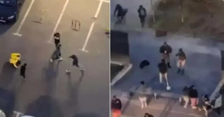 VIDEO. Bătaie violentă în fața unui local din Cluj! Un adolescent de 17 ani a căzut inconștient, iar alți doi tineri au fost reținuți de polițiști