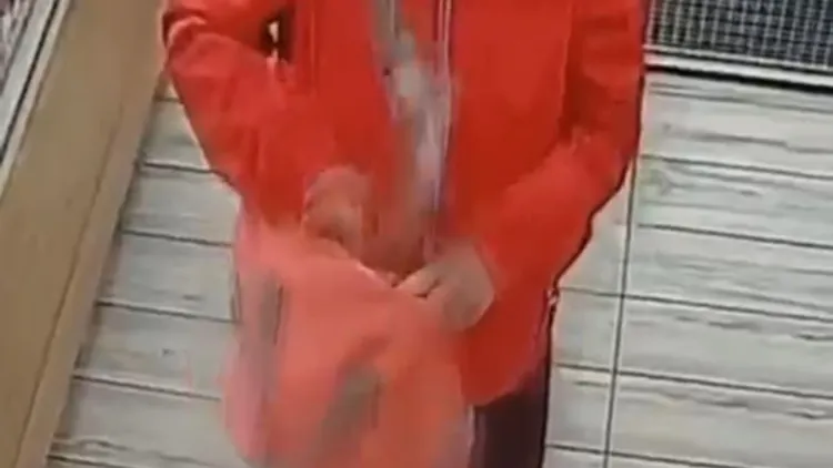 VIDEO. Furt cu tupeu într-un magazin din Florești! O femeie a fost surprinsă de camere în timp ce își umplea geanta cu produse. „Nu ți-e rușine?”
