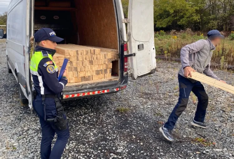 Prins pe drumurile din Cluj cu lemne fără acte! Șoferul a încasat o amendă usturătoare, iar polițiștii i-au confiscat marfa