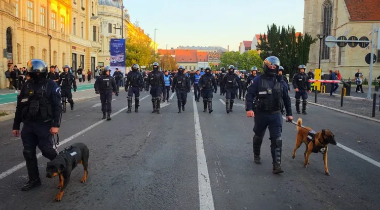 Jandarmii scot dispozitivul la CFR Cluj - Dinamo! Suporterii, însoțiți spre stadion și filmați pe traseu. Patru străzi din Gruia pot fi închise duminică