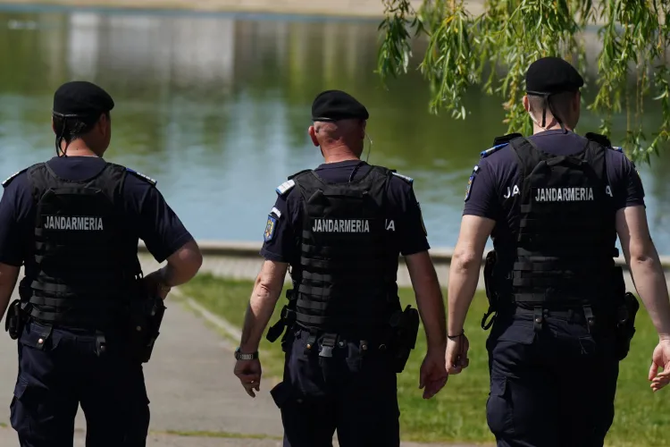 Substanțe suspecte, descoperite într-o pădure din Cluj! Cinci persoane, depistate de jandarmi în timpul unei patrulări