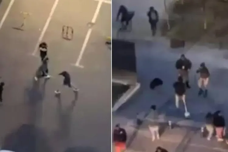VIDEO. Bătaie violentă în fața unui local din Cluj! Un adolescent de 17 ani a căzut inconștient, iar alți doi tineri au fost reținuți de polițiști