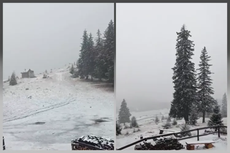 VIDEO. A nins la Cluj! Imagini de vis de la Vlădeasa, după ce primii fulgi de zăpadă au îmbrăcat totul în alb. Peisaj de poveste 