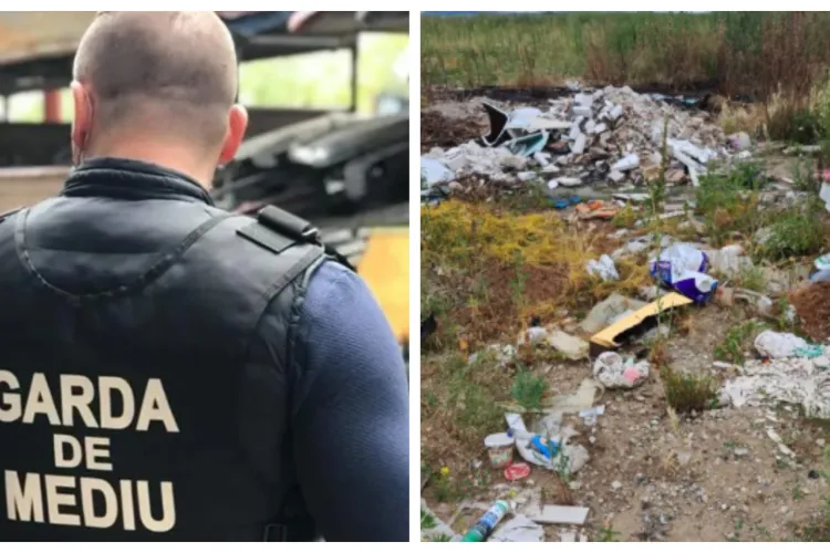 EXCLUSIV. Amenzi de aproape 4 milioane de lei date de Garda de Mediu Cluj în 2026! Care a fost cea mai mare sancțiune