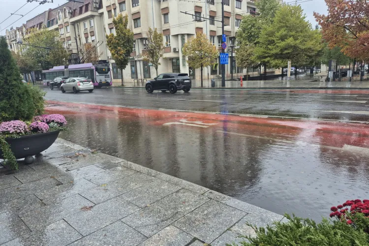 Gropi, bălți și lipsă de iluminat public! Un clujean cere intervenții pe două străzi: „Te stropesc din cap până în picioare!” 