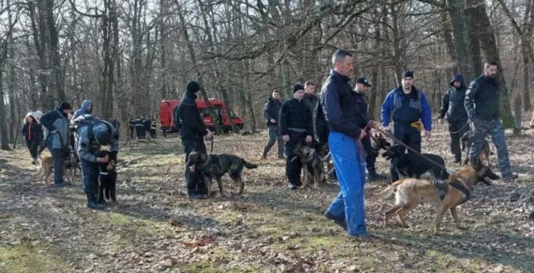 EXCLUSIV. Tot mai multe persoane din Cluj dispar fără urmă! În majoritatea cazurilor este vorba despre copii 