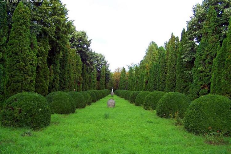 Clujul va avea un circuit turistic botanic