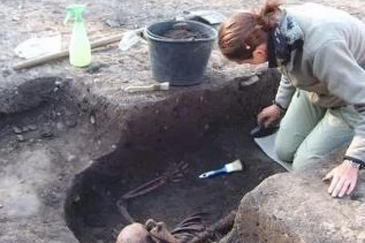 Schelet, gasit de arheologi in spatele Bisericii Reformate, pe strada Arges FOTO