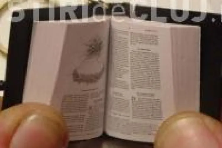 Cea mai mica biblie din lume, expusa la Bastionul Croitorilor. Cand poate fi vazuta expozitia
