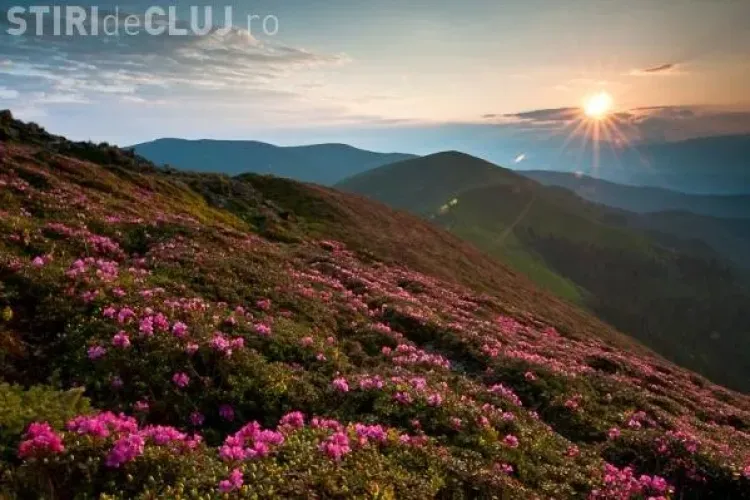 50 de fotografii uimitoare cu Romania Galerie FOTO