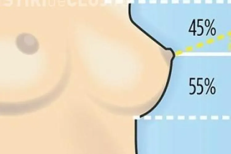 Cum arata sanii ideali! Un chirurg estetician a cercetat si a venit cu raspunsul FOTO