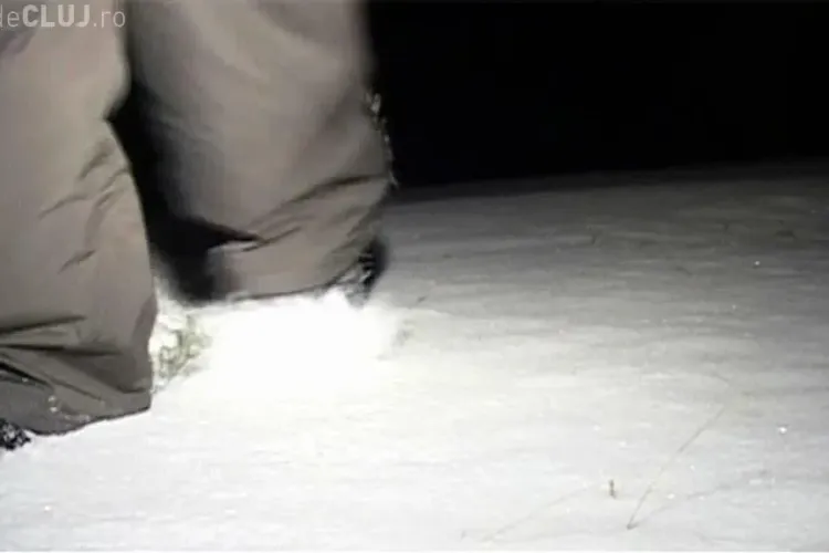 Cat de frumos ninge la Baisoara! Statiunea de schi se imbraca in "haine noi" VIDEO si FOTO