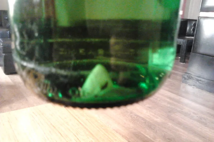 Ursus, despre molia gasita de un clujean intr-o sticla: Un astfel de incident este aproape imposibil 