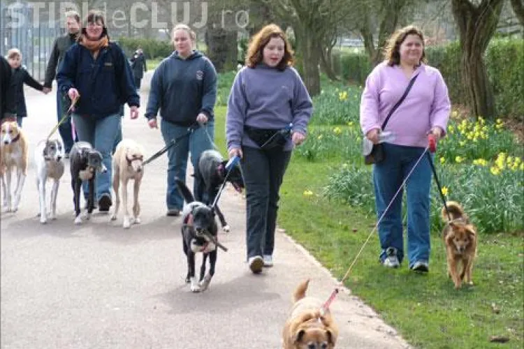 Clujenii pot creste in bloc cate animale vor. Curtea de Apel a anulat o hotararea care limita numarul de caini, pisici sau pasari