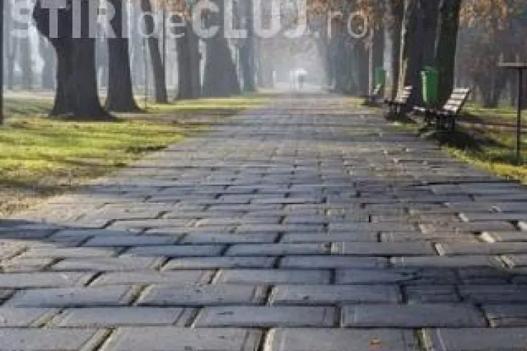 Kiat si Electrogrup, firmele din dosarul Apostu, s-au razboit cu Primaria Cluj-Napoca pentru un contract de 5 milioane de euro