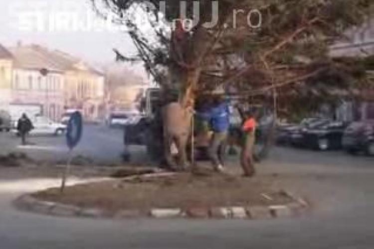 Muncitorii din Dej au montat bradul din centrul orasului in doua ore VIDEO